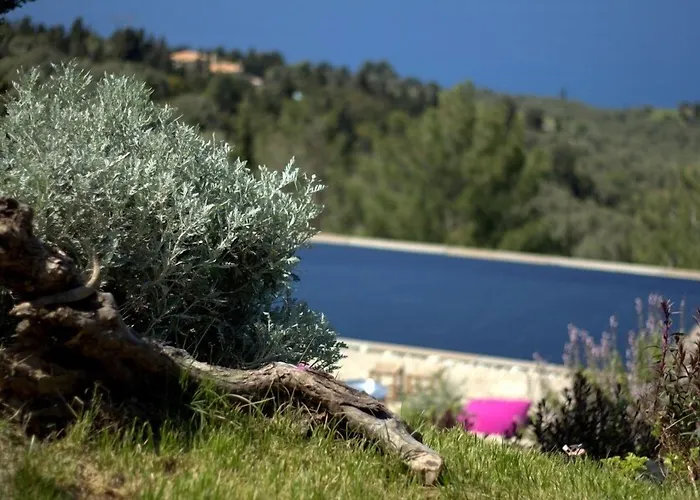 Serenity Boutique Szálloda